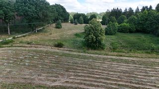 Działka rolna w Ostoi Drawskiej przy Mulitem, 9 km od Świdwina, zdjęcie 17