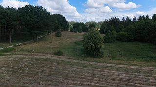 Działka rolna w Ostoi Drawskiej przy Mulitem, 9 km od Świdwina, zdjęcie 18