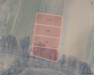 Działki budowlane w Lubiechowie Dolnym, 4 km od Cedyni, zdjęcie 10