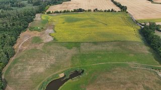 Działki budowlane w Lubiechowie Dolnym, 4 km od Cedyni, zdjęcie 6