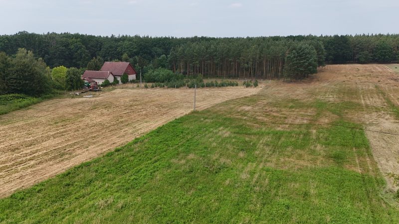 Działka na sprzedaż 1 328 m²: Działki budowlane na skraju Puszczy Piaskowej, 13 km od Cedyni