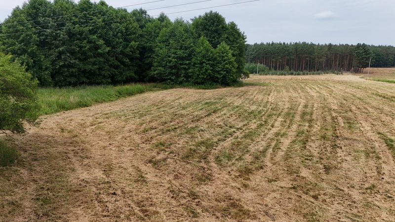 Działka na sprzedaż 1 328 m²: Działki budowlane na skraju Puszczy Piaskowej, 13 km od Cedyni