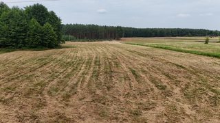 Baugrundstücke zu verkaufen in Piasek zdjęcie 9