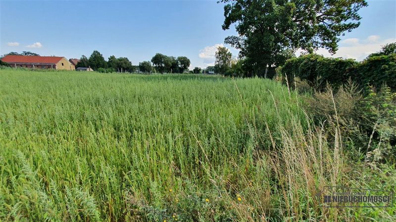 Działka na sprzedaż 760 m²: Działki budowlane w Piasku nad Odrą, 13 km od Schwedt