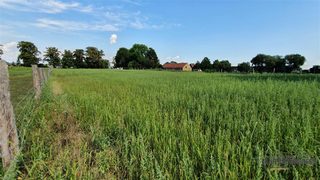 Baugrundstücke zu verkaufen in Piasek zdjęcie 11