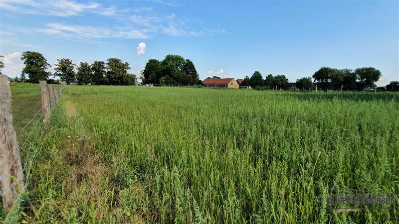 Działka na sprzedaż 760 m²: Działki budowlane w Piasku nad Odrą, 13 km od Schwedt