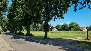Baugrundstücke zu verkaufen in Piasek zdjęcie 2