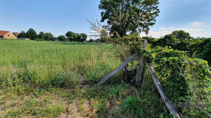 Działka na sprzedaż 760 m²: Działki budowlane w Piasku nad Odrą, 13 km od Schwedt
