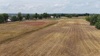 Baugrundstücke zu verkaufen in Piasek zdjęcie 15