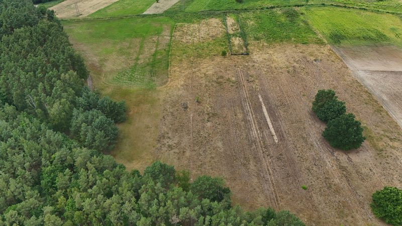 Działka na sprzedaż 988 m²: Cztery działki budowlane przy lesie w Piasku, 11 km od Cedyni