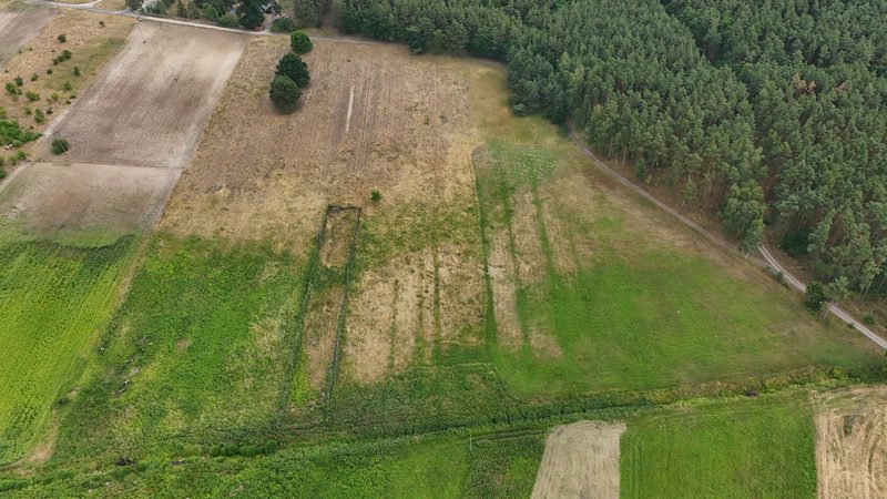 Działka na sprzedaż 988 m²: Cztery działki budowlane przy lesie w Piasku, 11 km od Cedyni