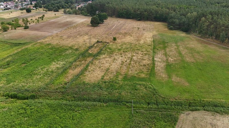 Działka na sprzedaż 988 m²: Cztery działki budowlane przy lesie w Piasku, 11 km od Cedyni