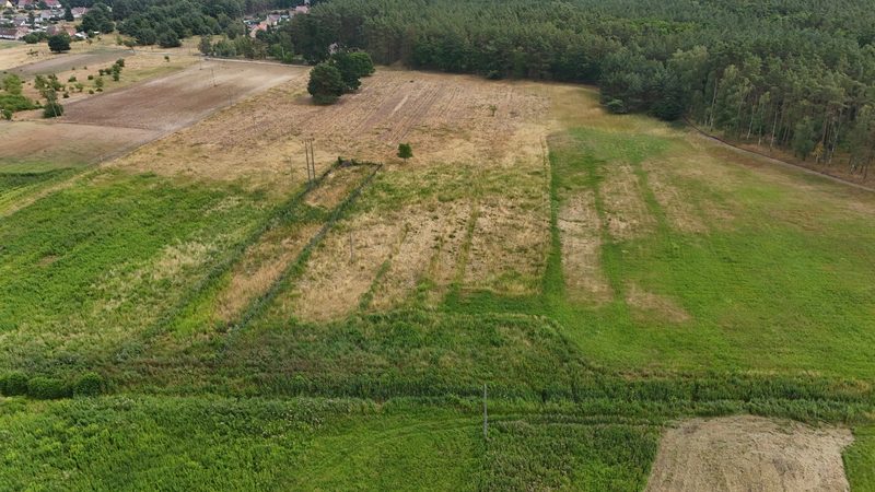 Działka na sprzedaż 988 m²: Cztery działki budowlane przy lesie w Piasku, 11 km od Cedyni