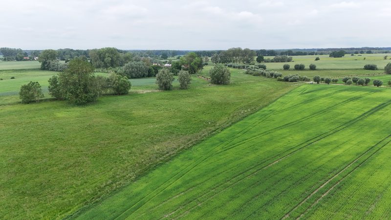 Działka na sprzedaż 13 467 m²: Działka budowlana na sprzedaż w Brodzie, 8 km od Chociwla