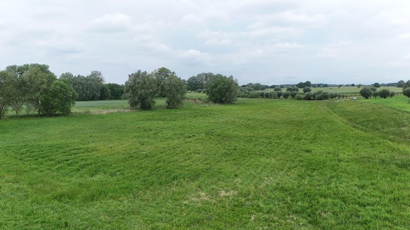 Działka na sprzedaż 13 467 m²: Działka budowlana na sprzedaż w Brodzie, 8 km od Chociwla