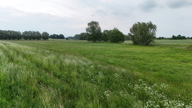 Działka na sprzedaż 13 467 m²: Działka budowlana na sprzedaż w Brodzie, 8 km od Chociwla