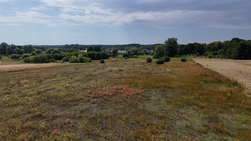 Działka na sprzedaż 3 195 m²: Działki budowlane na sprzedaż w Długie, 6km od Chociwla