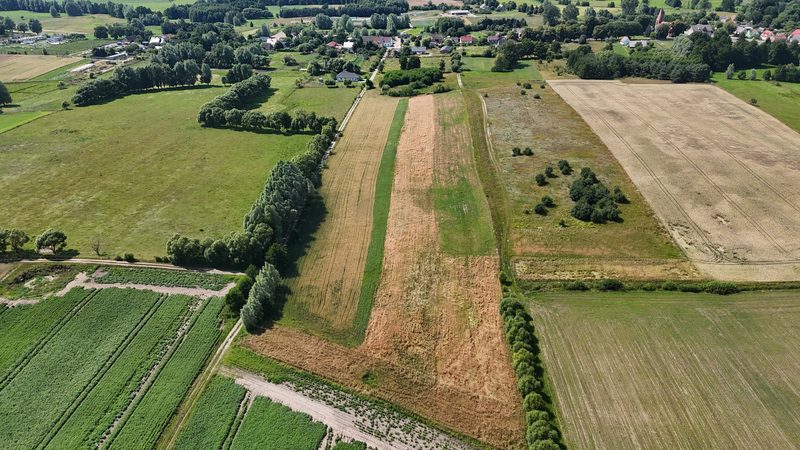 Działka na sprzedaż 3 195 m²: Działki budowlane na sprzedaż w Długie, 6km od Chociwla