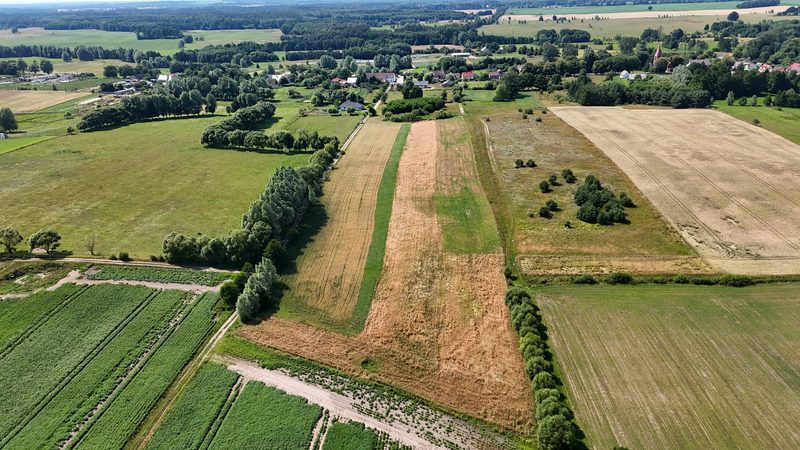 Działka na sprzedaż 3 195 m²: Działki budowlane na sprzedaż w Długie, 6km od Chociwla