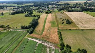 Baugrundstücke zu verkaufen in Długie zdjęcie 5