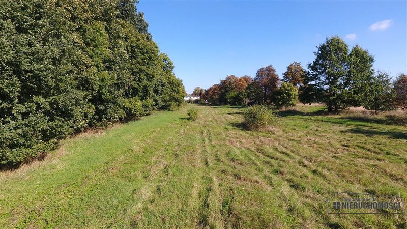 Działka na sprzedaż 901 m²: Działki budowlane na sprzedaż w Starzycach