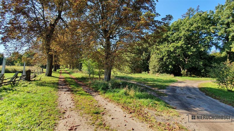 Działka na sprzedaż 901 m²: Działki budowlane na sprzedaż w Starzycach