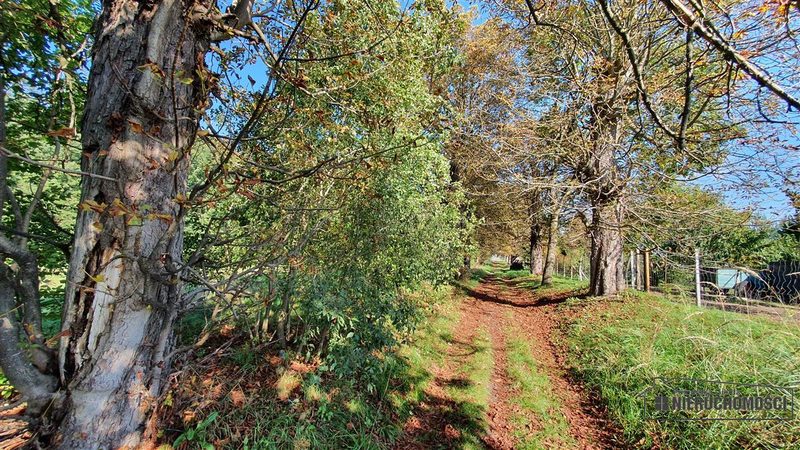Działka na sprzedaż 901 m²: Działki budowlane na sprzedaż w Starzycach