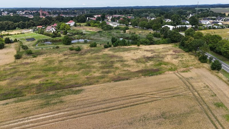 Działka na sprzedaż 14 378 m²: Działka na sprzedaż w Starzycach