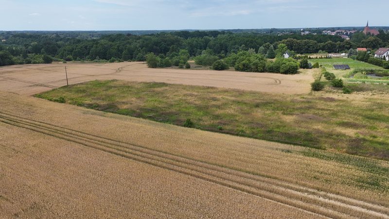 Działka na sprzedaż 14 378 m²: Działka na sprzedaż w Starzycach