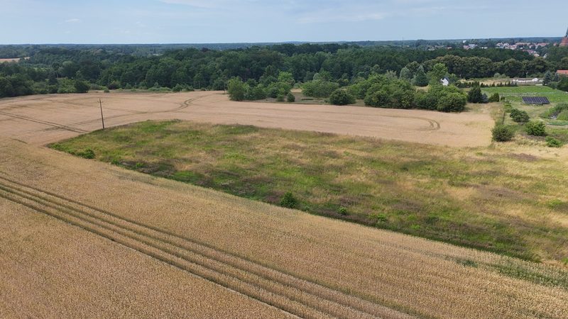Działka na sprzedaż 14 378 m²: Działka na sprzedaż w Starzycach