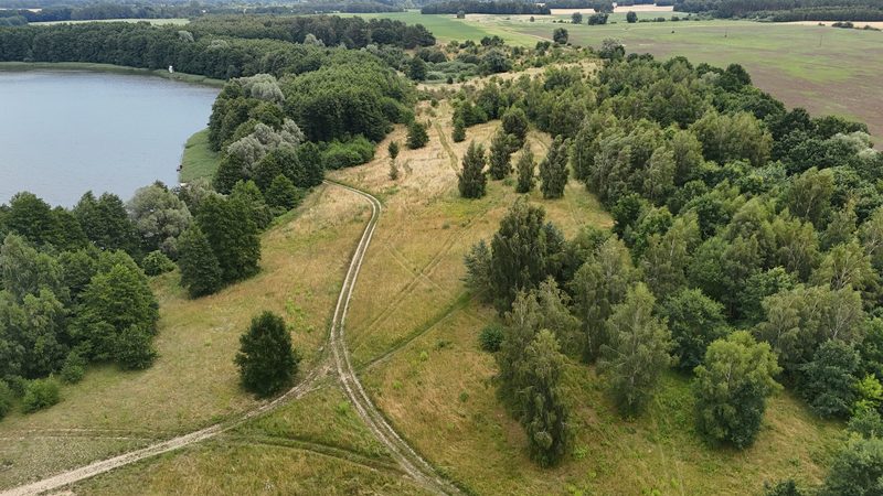 Działka na sprzedaż 16 900 m²: Działka budowlana na sprzedaż w Starzycach