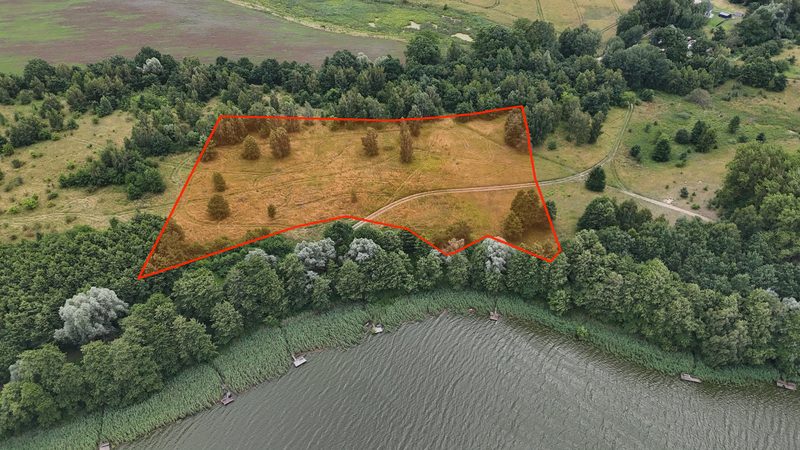 Działka na sprzedaż 16 900 m²: Działka budowlana na sprzedaż w Starzycach