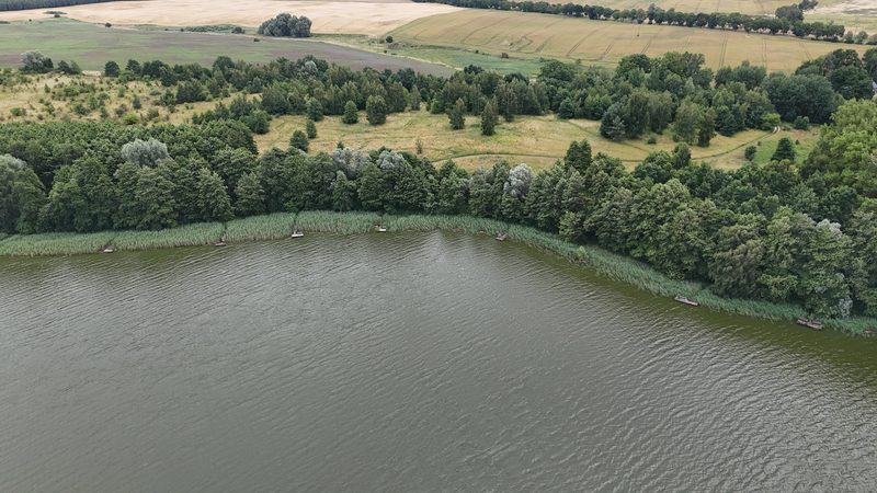 Działka na sprzedaż 16 900 m²: Działka budowlana na sprzedaż w Starzycach