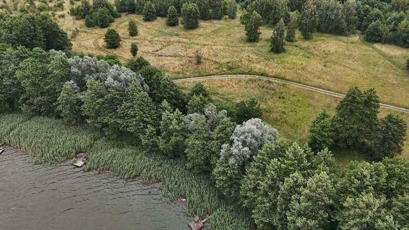 Działka na sprzedaż 16 900 m²: Działka budowlana na sprzedaż w Starzycach