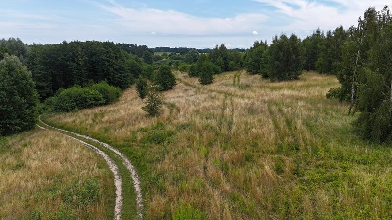 Działka na sprzedaż 16 900 m²: Działka budowlana na sprzedaż w Starzycach