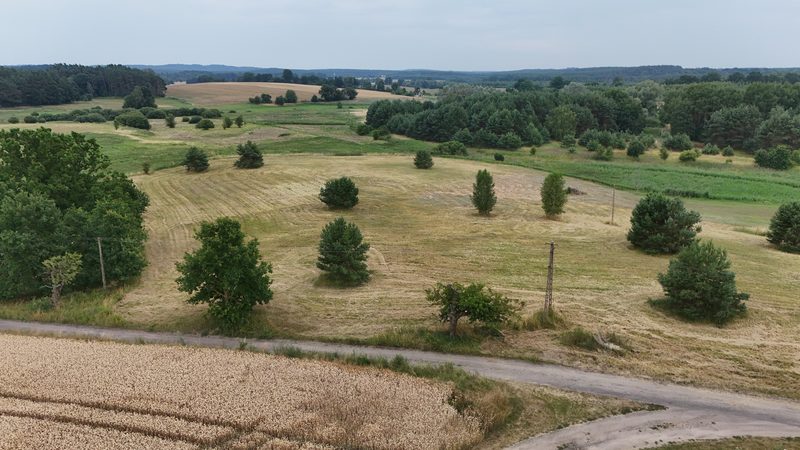 Działka na sprzedaż 9 560 m²: Działki budowlane naprzeciw lasu w Lisim Polu, 8 km od Chojny