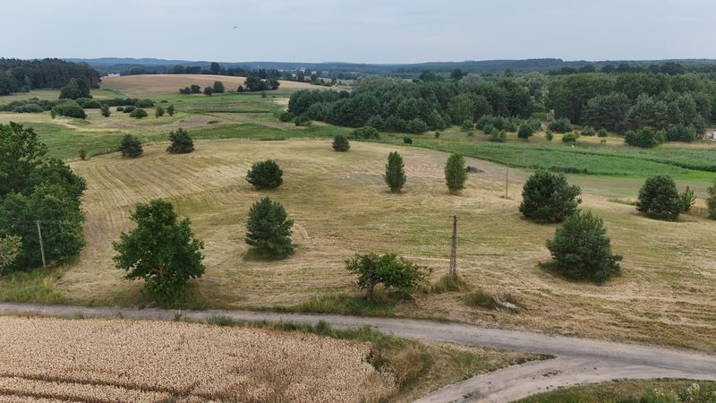 Działka na sprzedaż 9 560 m²: Działki budowlane naprzeciw lasu w Lisim Polu, 8 km od Chojny