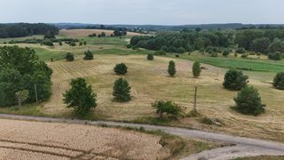 Baugrundstück zu verkaufen in Lisie Pole zdjęcie 13