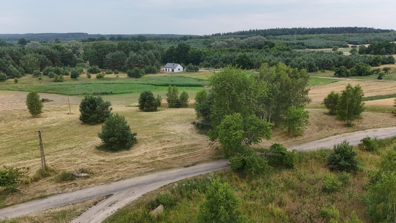Działka na sprzedaż 13 024 m²: Działka budowlana w Lisim Polu, 8 km od Chojny