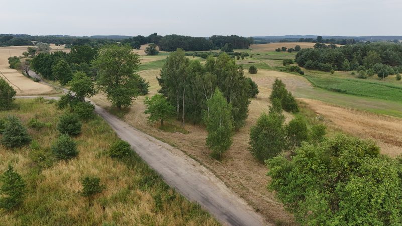 Działka na sprzedaż 13 024 m²: Działka budowlana w Lisim Polu, 8 km od Chojny