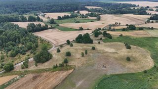 Baugrundstück zu verkaufen in Lisie Pole zdjęcie 6