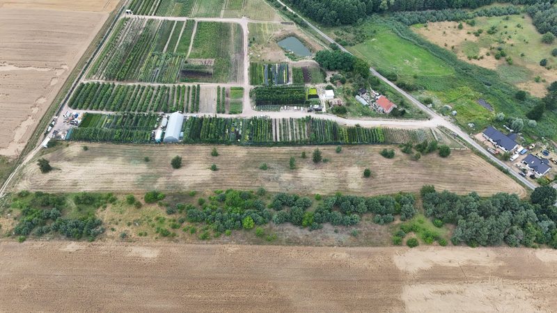 Działka na sprzedaż 12 599 m²: Działka budowlana w Lisim Polu, 10 km od Chojny