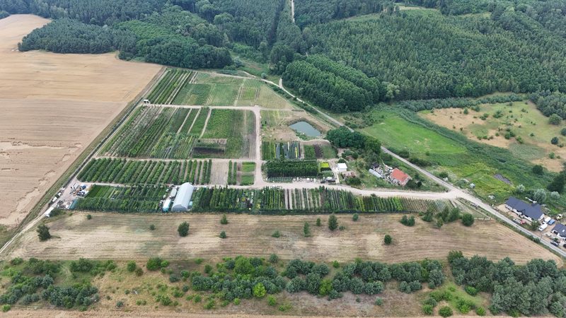 Działka na sprzedaż 12 599 m²: Działka budowlana w Lisim Polu, 10 km od Chojny