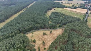 Działki budowlane na leśnej polanie w Rurce, 5 km od Chojny, zdjęcie 3