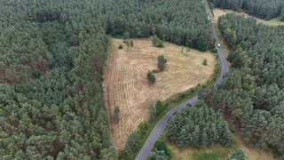 Działki budowlane na leśnej polanie w Rurce, 5 km od Chojny, zdjęcie 5
