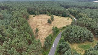 Działki budowlane na leśnej polanie w Rurce, 5 km od Chojny, zdjęcie 7