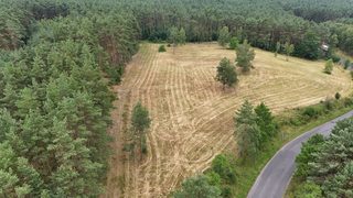 Działki budowlane na leśnej polanie w Rurce, 5 km od Chojny, zdjęcie 8