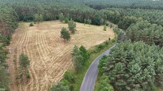 Działki budowlane na leśnej polanie w Rurce, 5 km od Chojny, zdjęcie 9