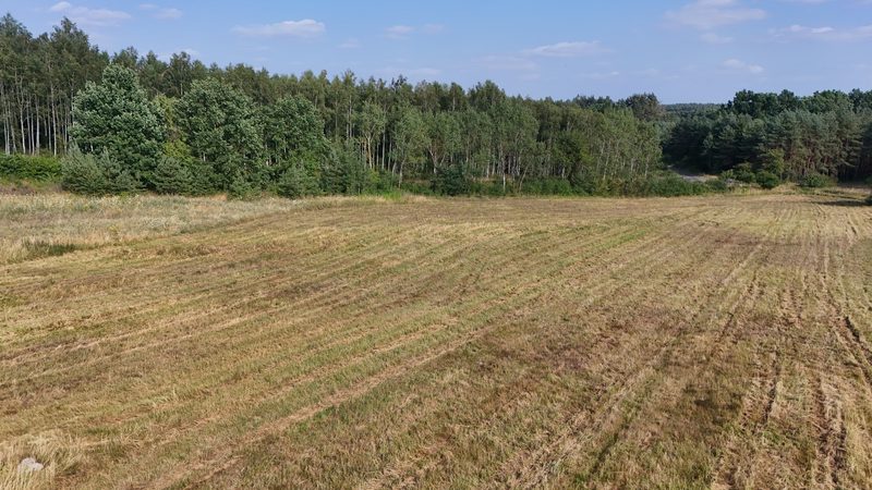 Działka na sprzedaż 9 501 m²: Działka budowlana przy lesie w Strzelczynie, 9 km od Trzcińska-Zdroju