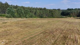 Baugrundstück zu verkaufen in Strzelczyn zdjęcie 3